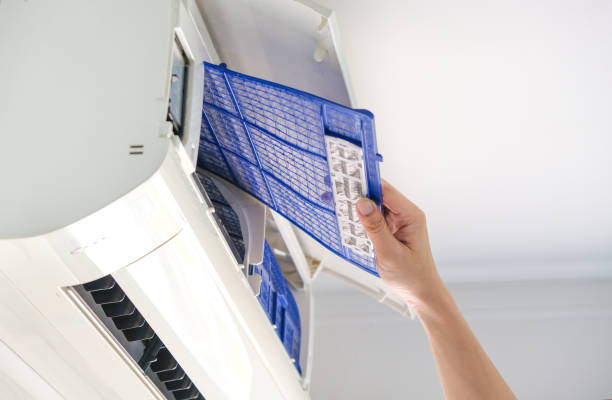 Best Home Air Vent Cleaning  in Princess Anne, MD
